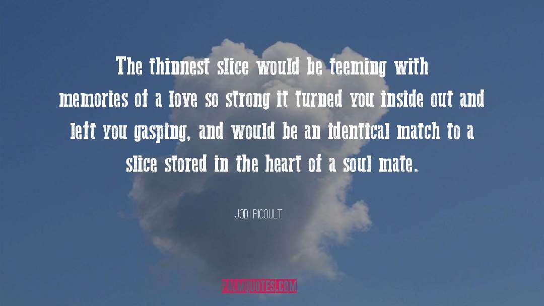 Dating Soul Mate quotes by Jodi Picoult