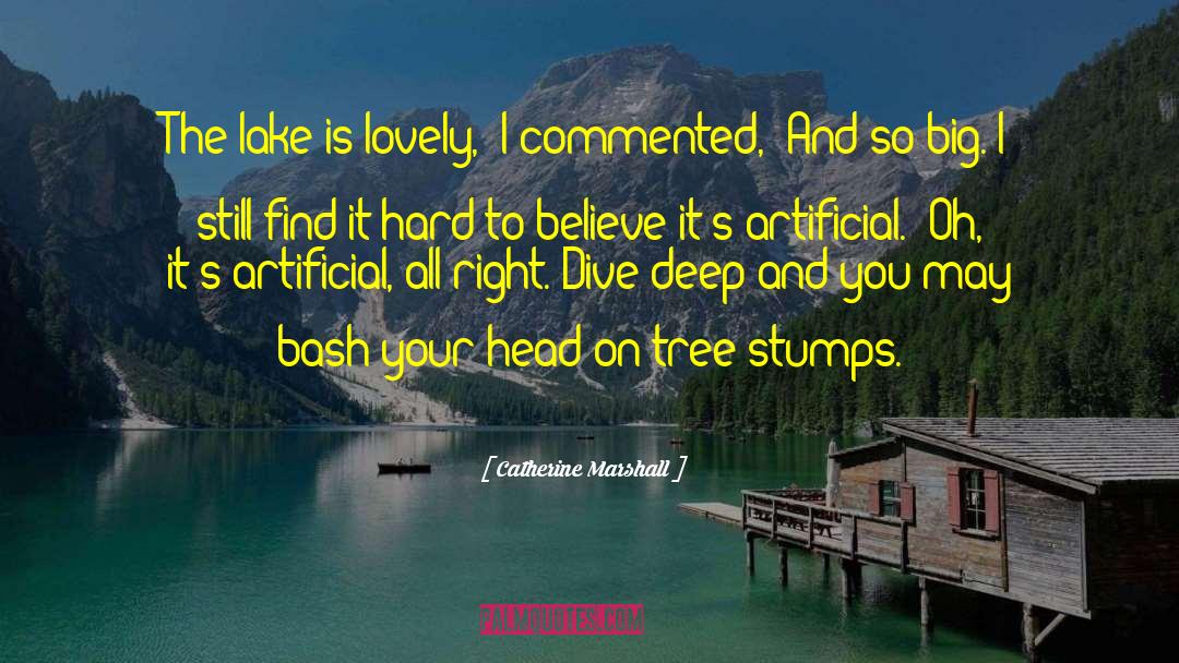 Daubs Lake quotes by Catherine Marshall