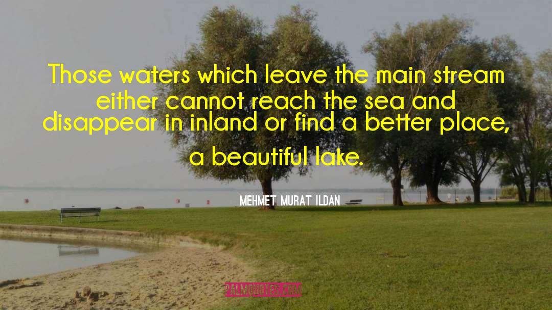 Daubs Lake quotes by Mehmet Murat Ildan
