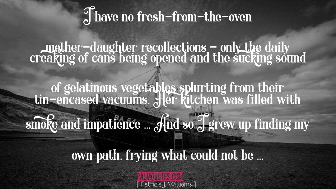 Daughter Of Smoke And Bone quotes by Patricia J. Williams