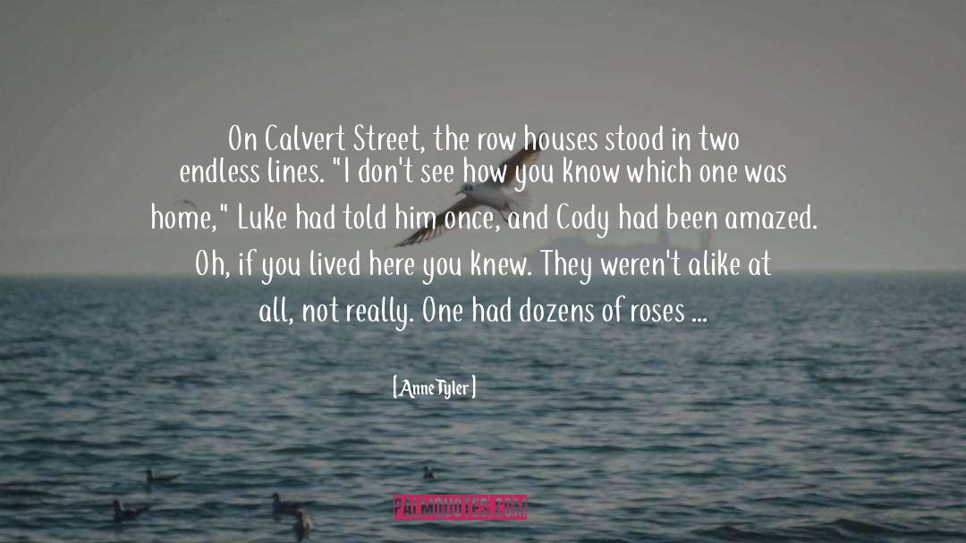 Dave At Night quotes by Anne Tyler