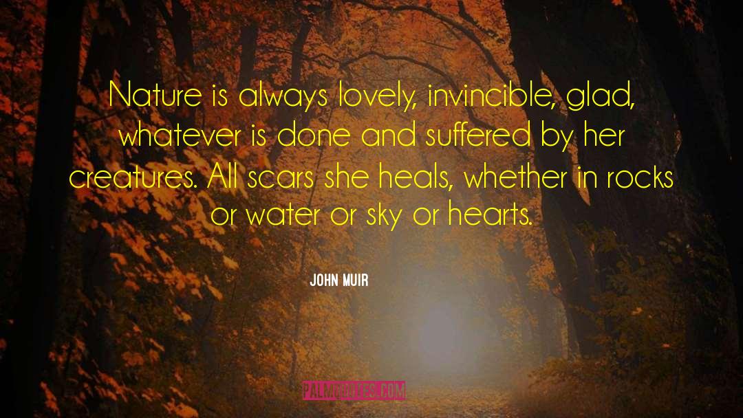 Dave Meets John Sky quotes by John Muir