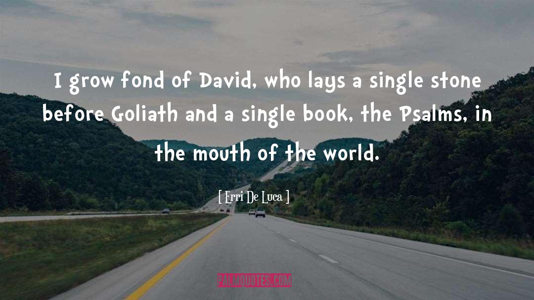 David And Goliath quotes by Erri De Luca