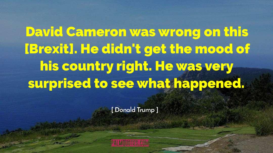 David Cameron quotes by Donald Trump