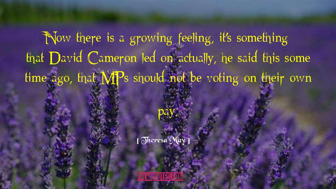 David Cameron quotes by Theresa May