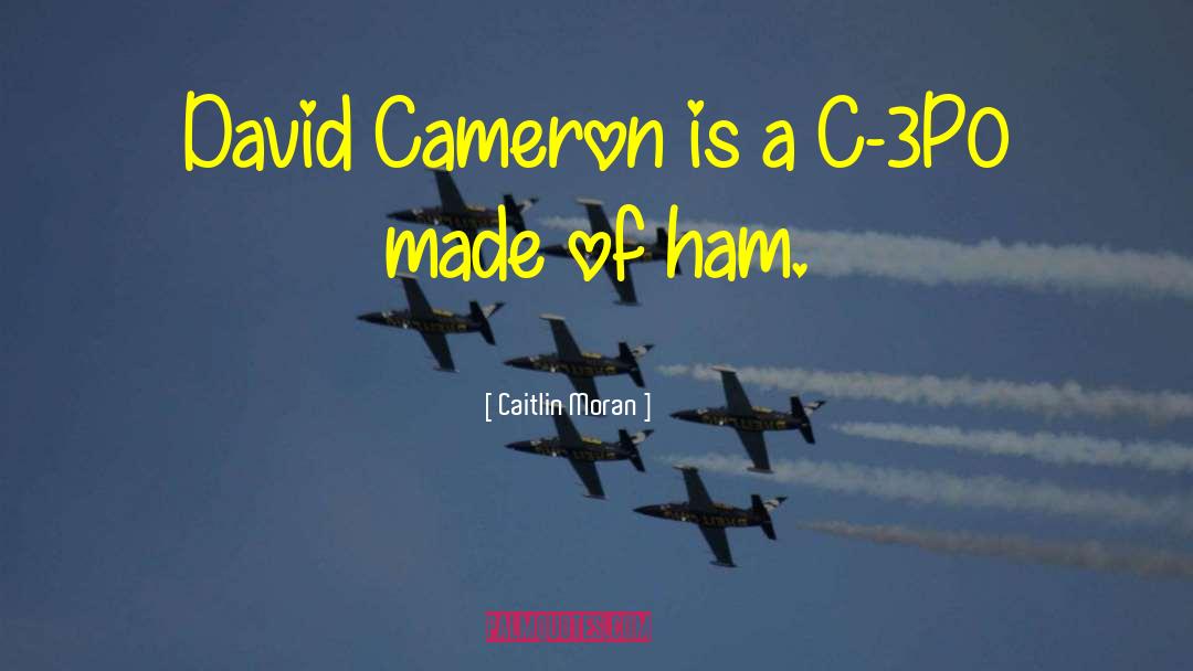 David Cameron quotes by Caitlin Moran