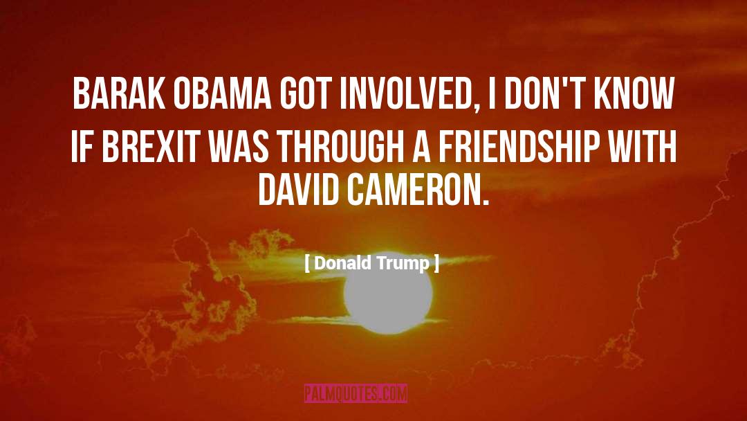 David Cameron quotes by Donald Trump