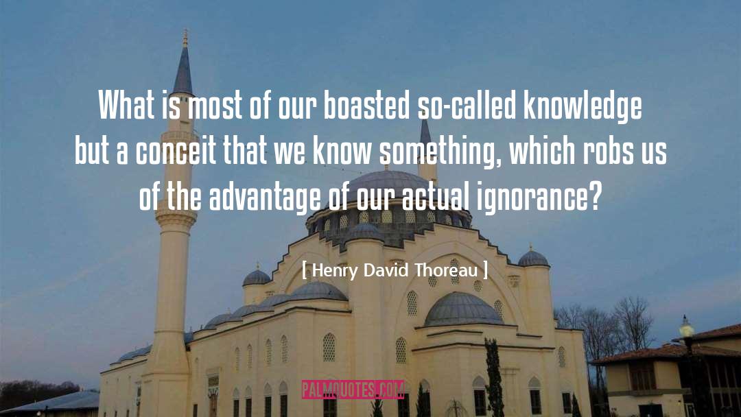 David Cherubim quotes by Henry David Thoreau