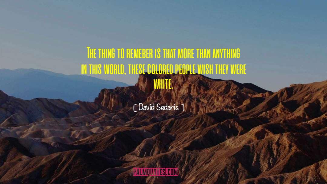 David Cherubim quotes by David Sedaris