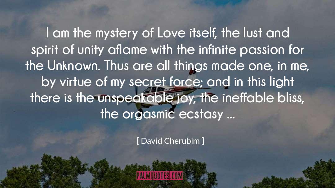 David Cherubim quotes by David Cherubim