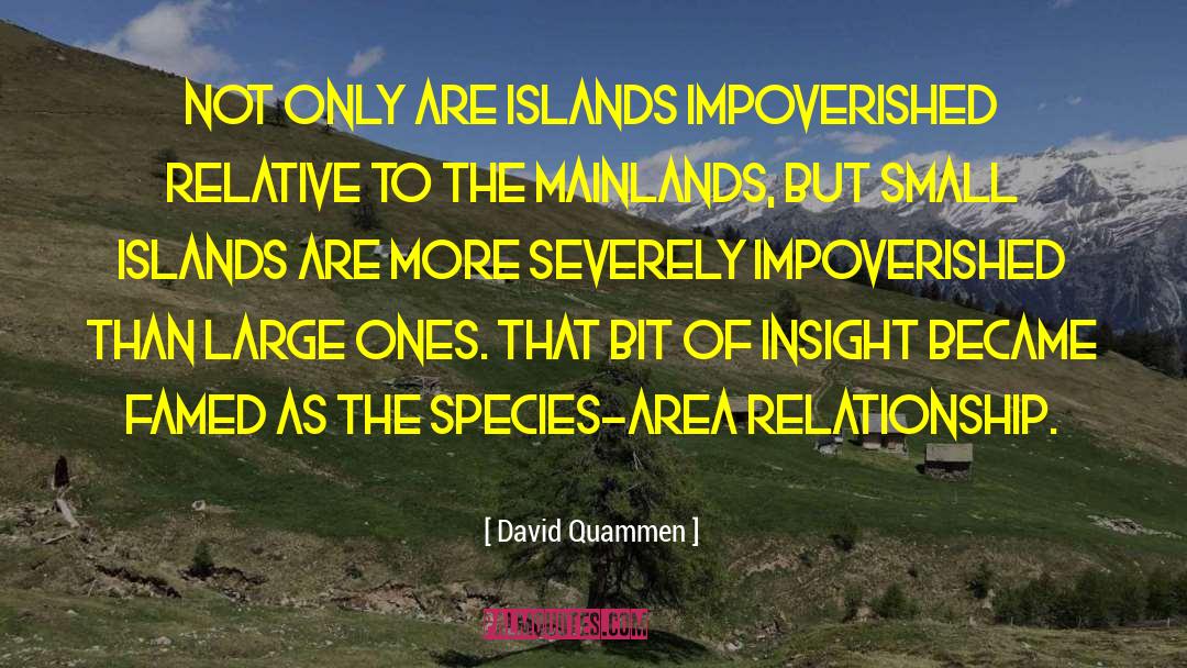 David Dark quotes by David Quammen