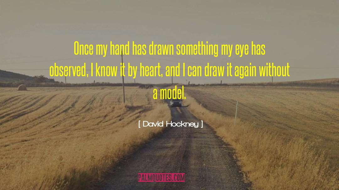 David Fagen quotes by David Hockney