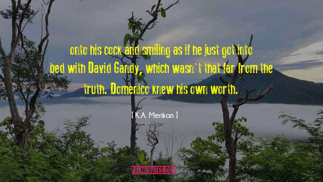 David Gandy quotes by K.A. Merikan