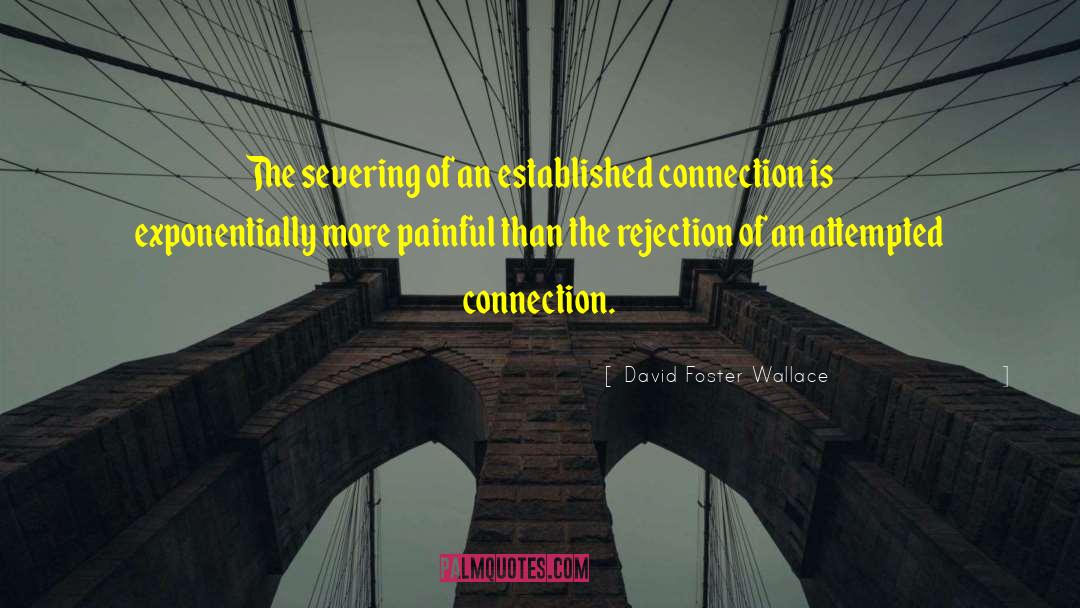 David Gilmour quotes by David Foster Wallace