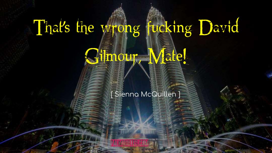 David Gilmour quotes by Sienna McQuillen