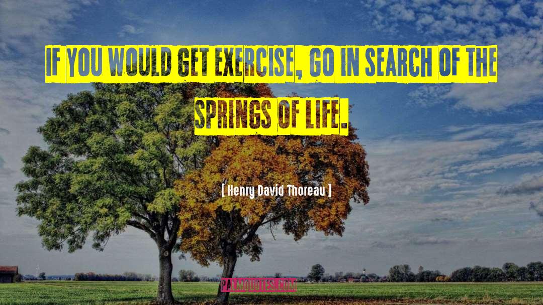 David Gilmour quotes by Henry David Thoreau