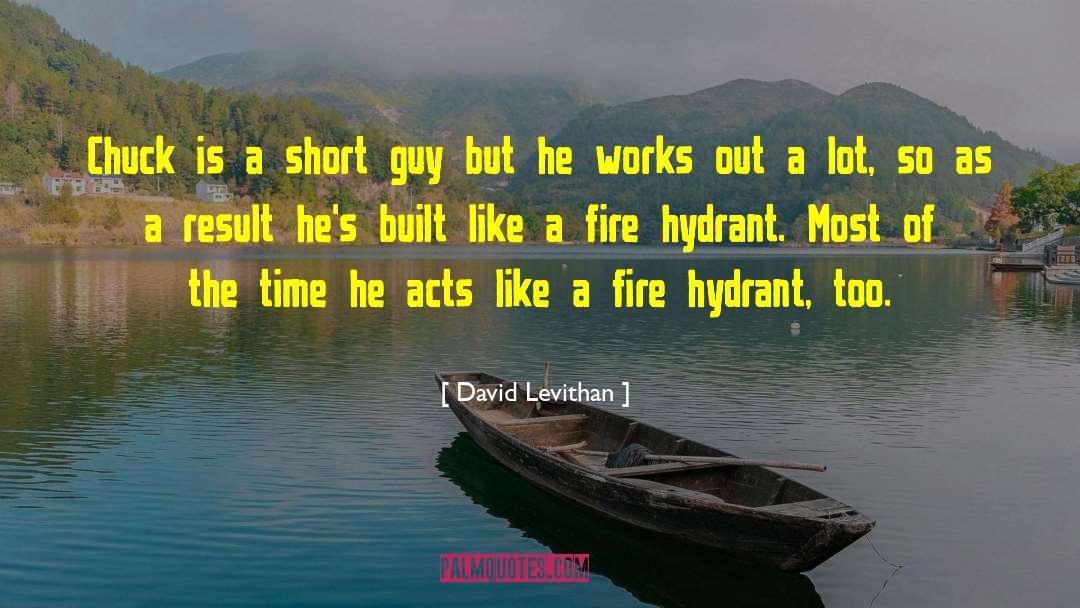 David Goliath quotes by David Levithan