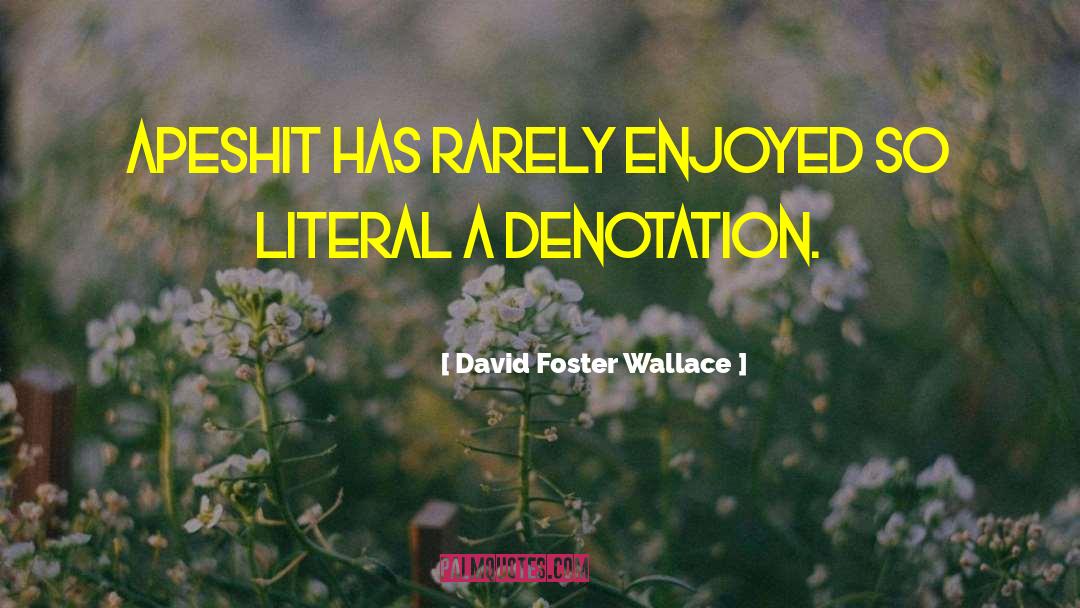 David Goodis quotes by David Foster Wallace