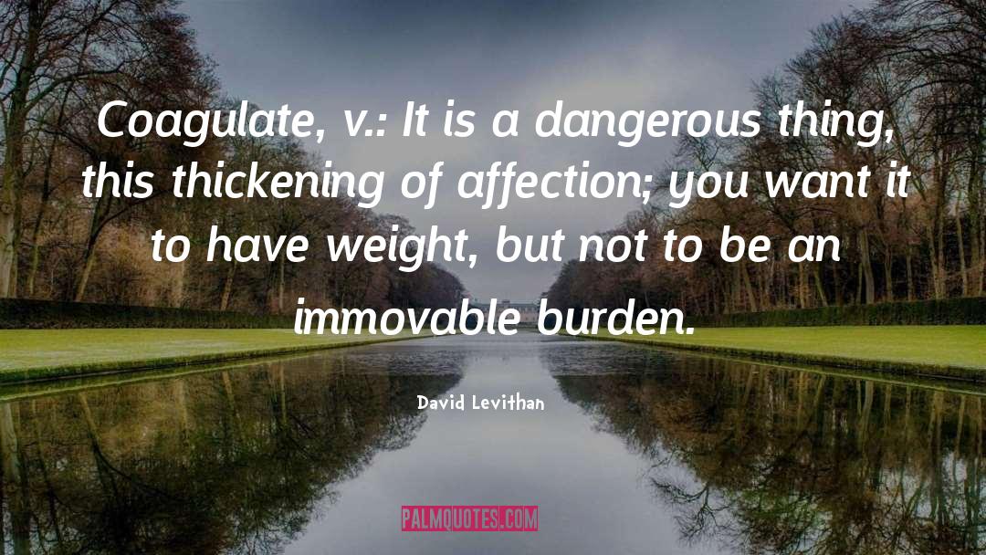 David Levithan quotes by David Levithan