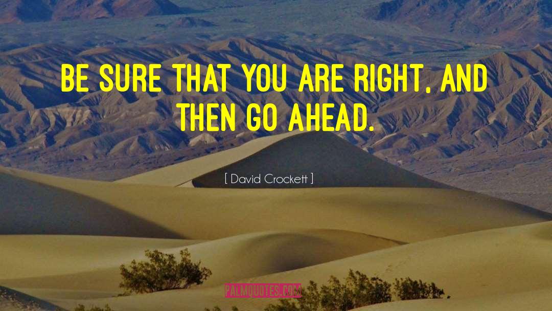 David Lichtenstein quotes by David Crockett