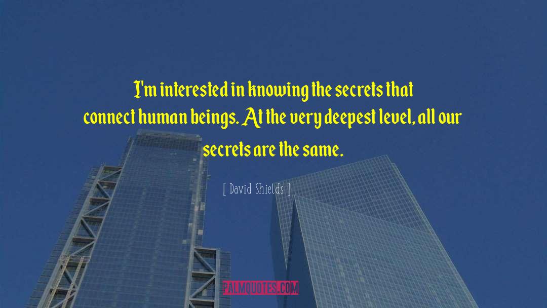 David Lichtenstein quotes by David Shields