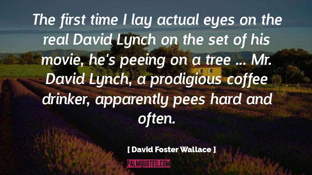 David Lynch quotes by David Foster Wallace