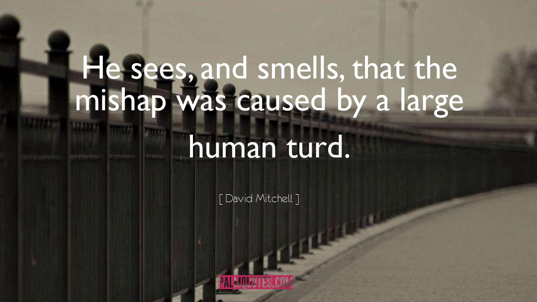 David Mitchell quotes by David Mitchell