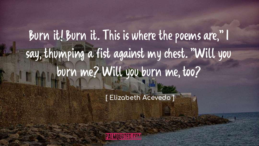 David Parnell Burn quotes by Elizabeth Acevedo