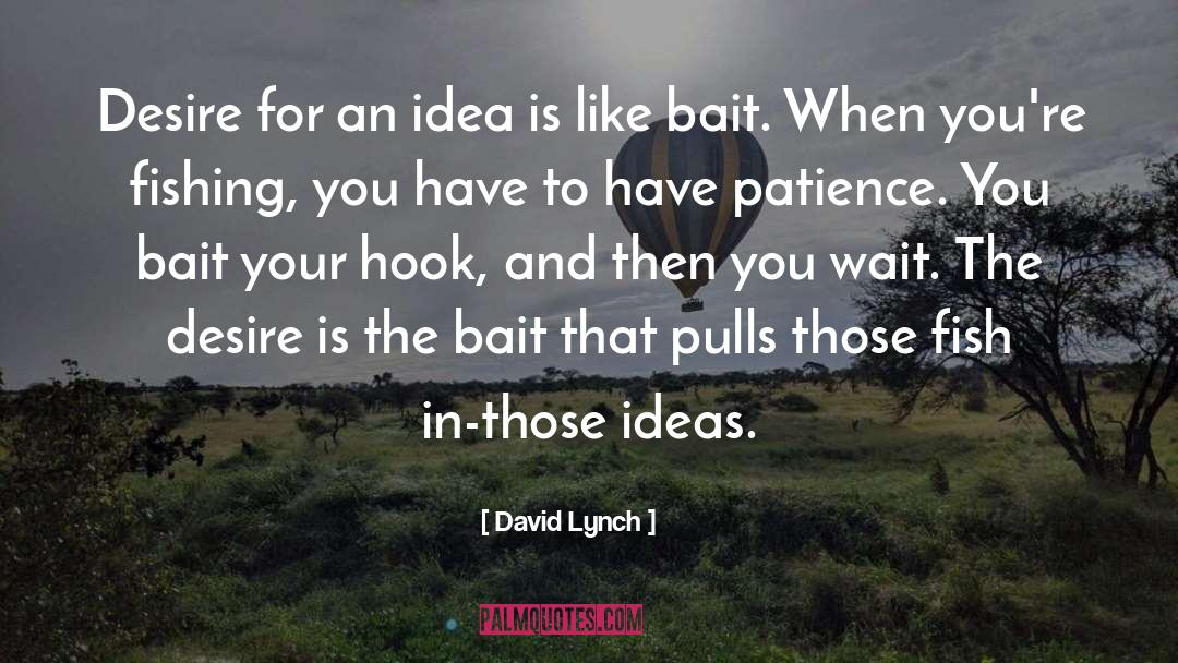 David Rieff quotes by David Lynch