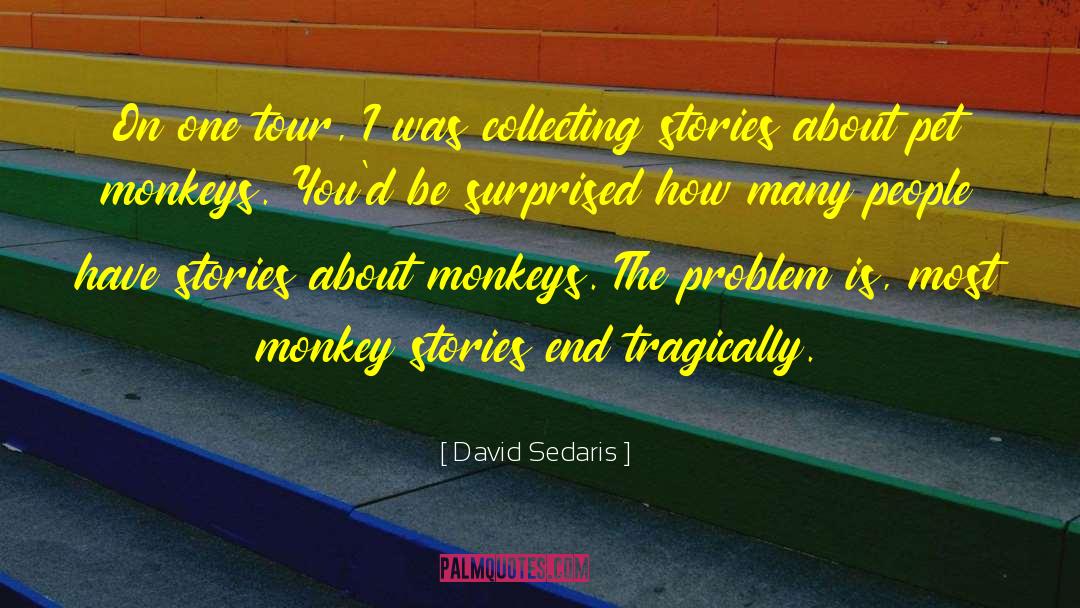 David Ritz quotes by David Sedaris