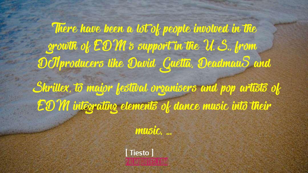 David S Landes quotes by Tiesto