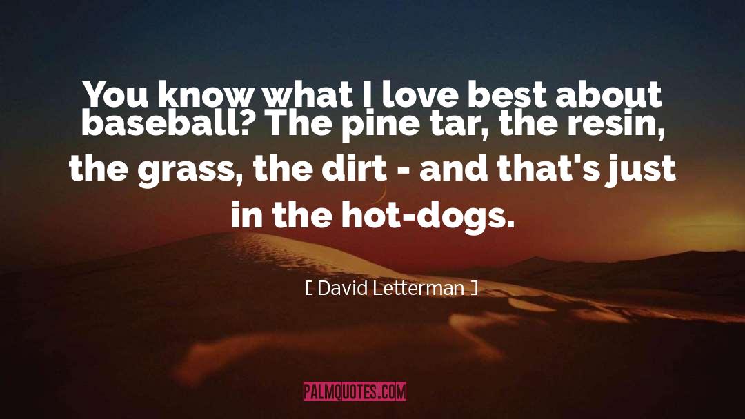 David Tennant quotes by David Letterman