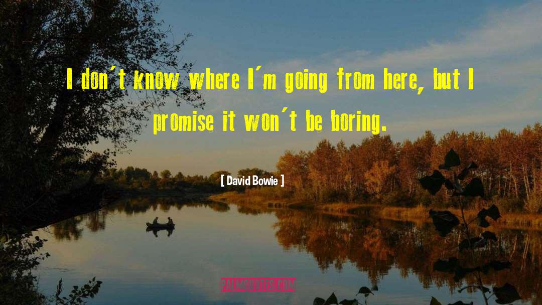 David Vestal quotes by David Bowie