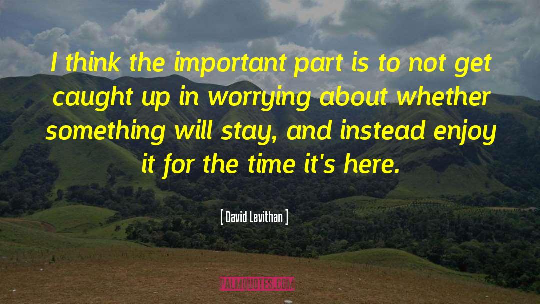 David Vestal quotes by David Levithan