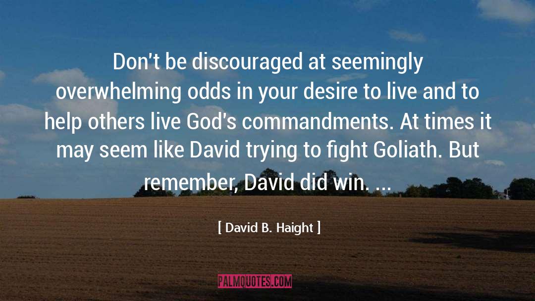 David Vestal quotes by David B. Haight