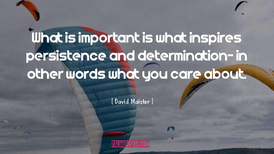 David Wagner Daymaker quotes by David Maister