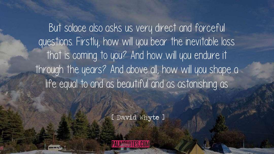 David Whyte quotes by David Whyte