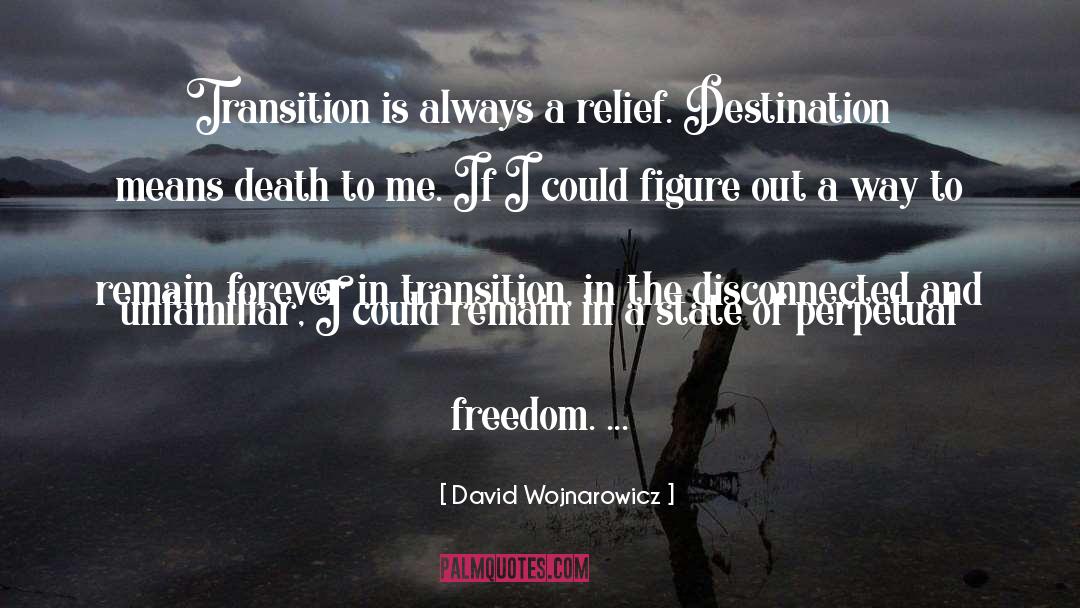 David Wojnarowicz quotes by David Wojnarowicz