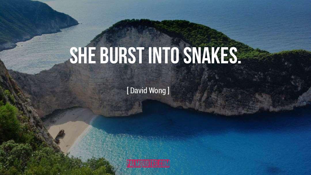 David Wong quotes by David Wong