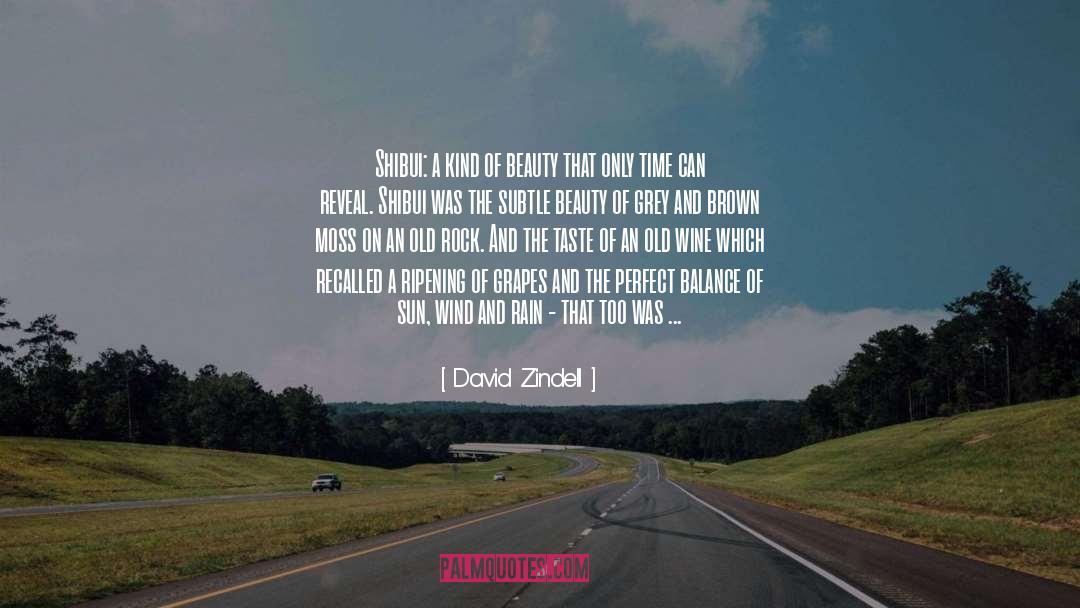 David Zindell quotes by David Zindell