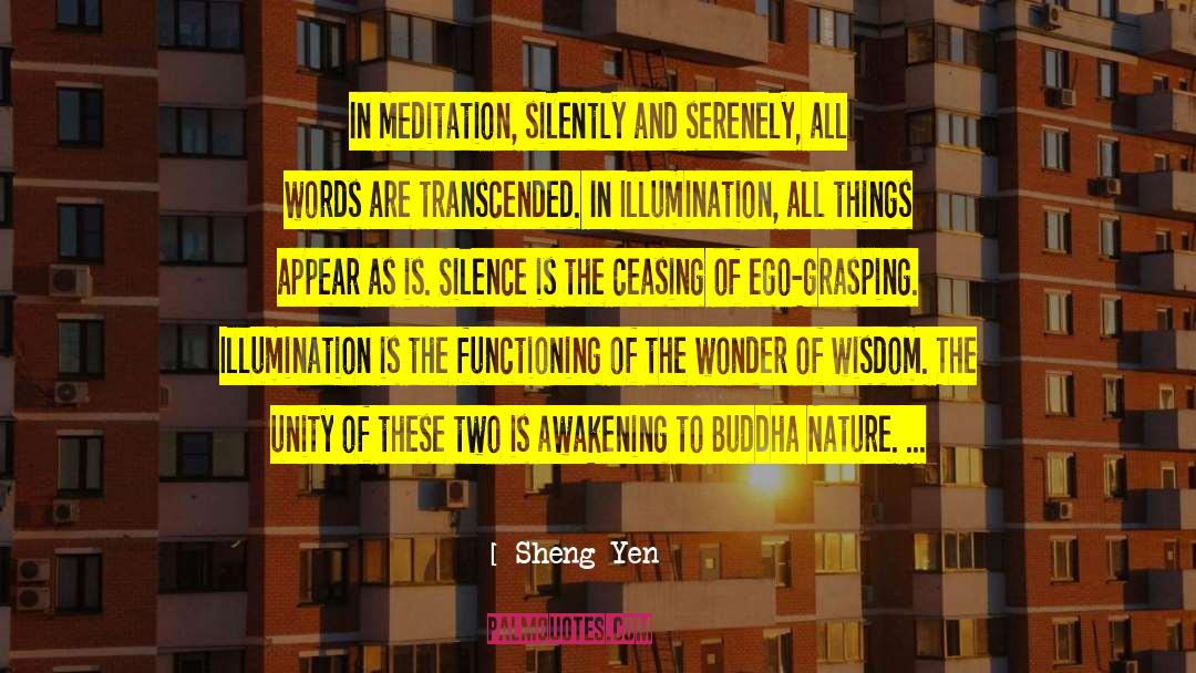 Davidji Meditation quotes by Sheng Yen