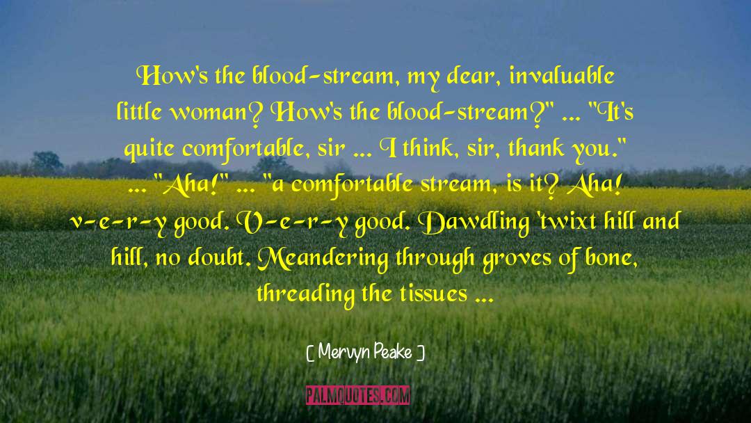 Dawdling quotes by Mervyn Peake