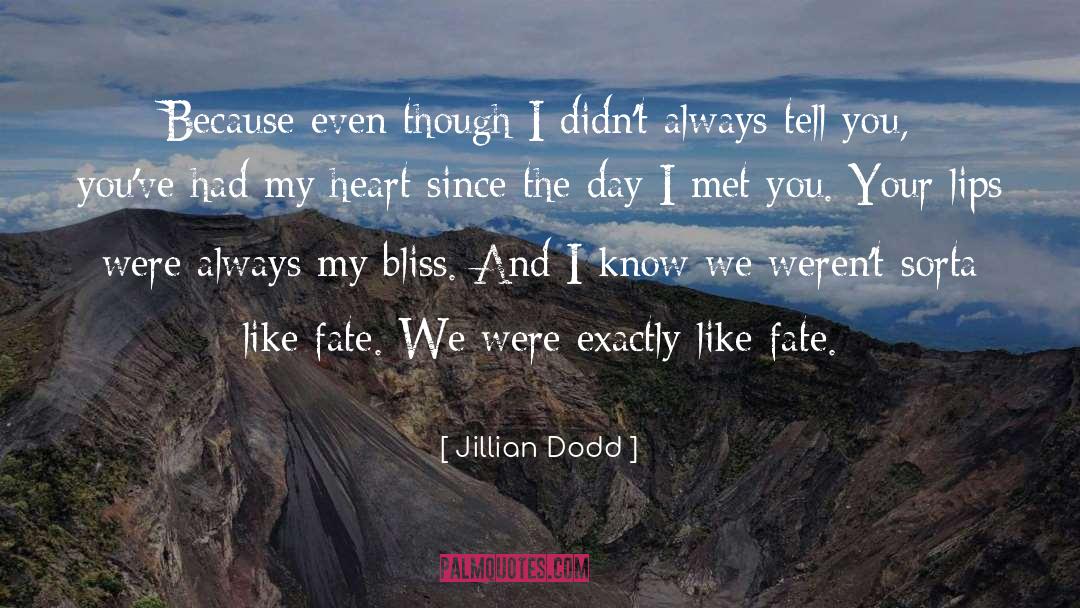 Day I Met quotes by Jillian Dodd