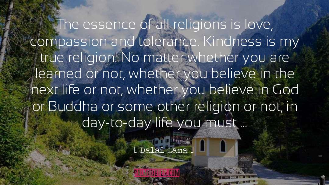 Day Life quotes by Dalai Lama