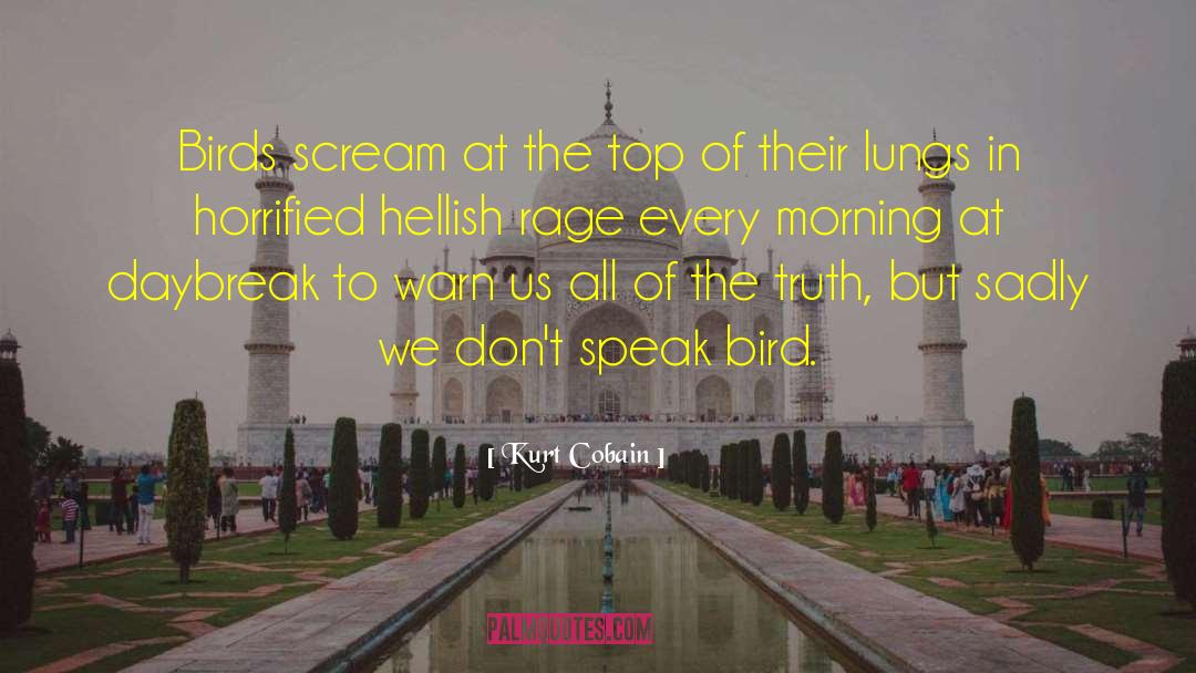 Daybreak quotes by Kurt Cobain