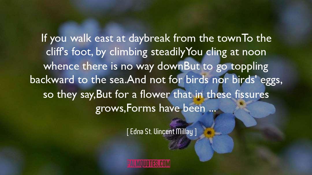 Daybreak quotes by Edna St. Vincent Millay
