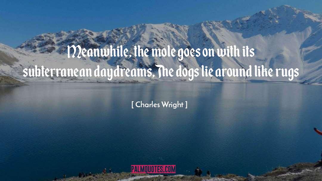 Daydreams quotes by Charles Wright