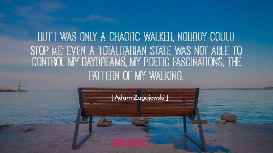 Daydreams quotes by Adam Zagajewski