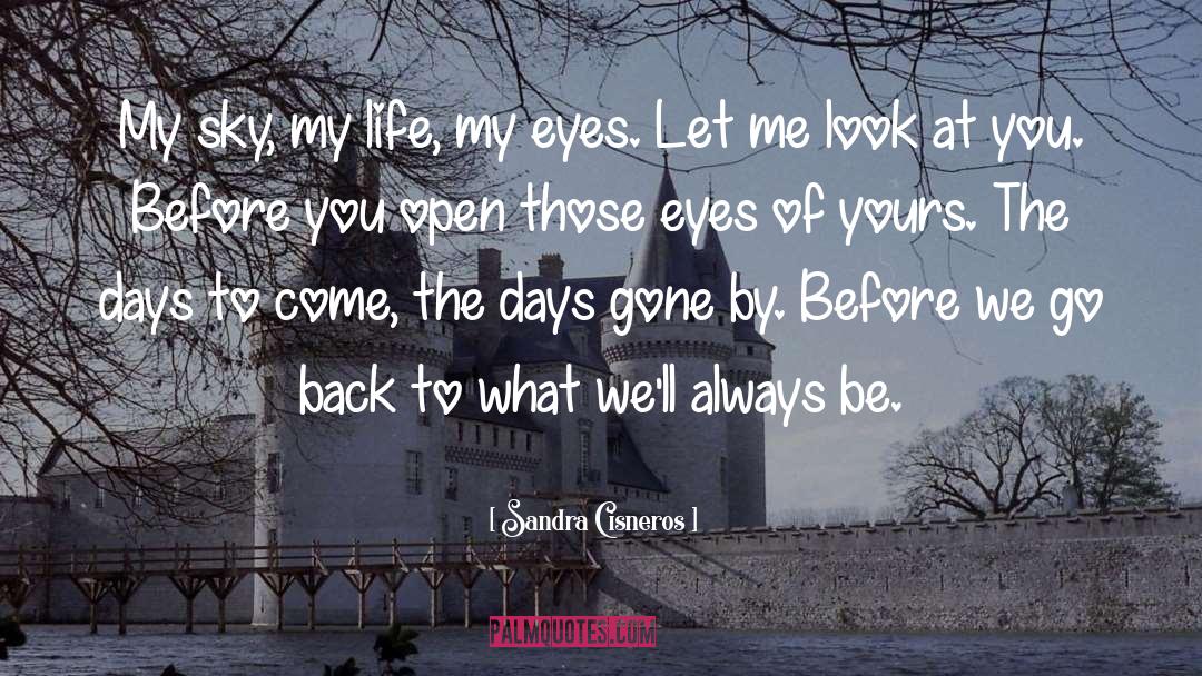 Days Gone By quotes by Sandra Cisneros