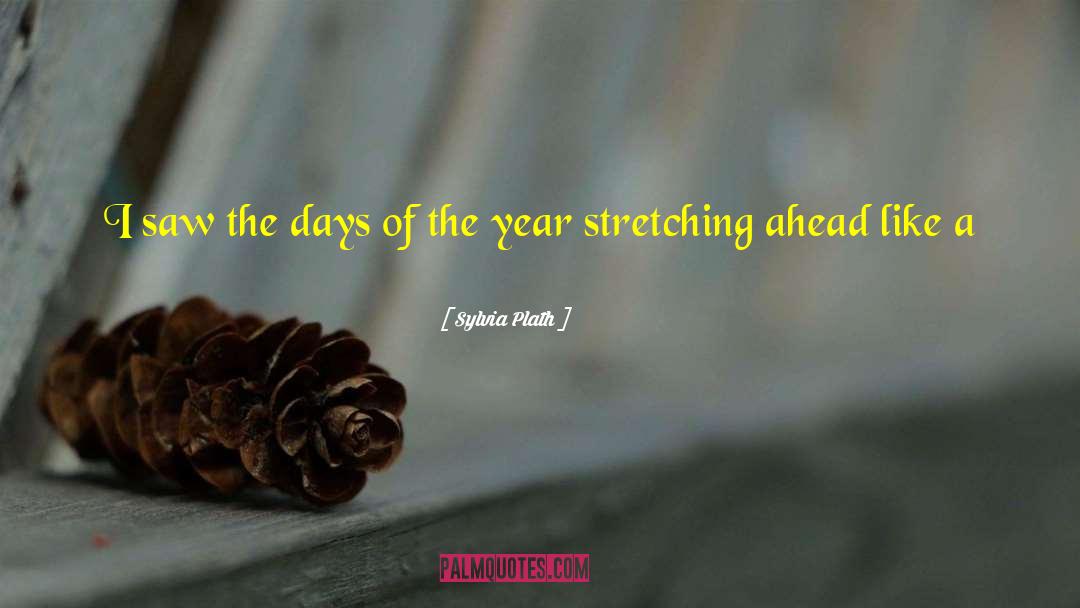 Days Of The Year quotes by Sylvia Plath